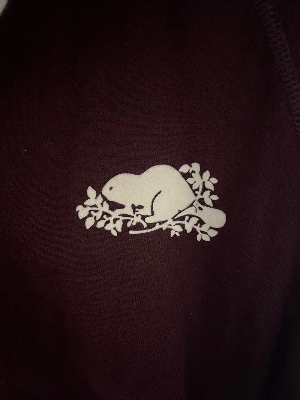 Roots Canada Full Zip Beaver Logo Hoodie Large - Picture 3 of 5